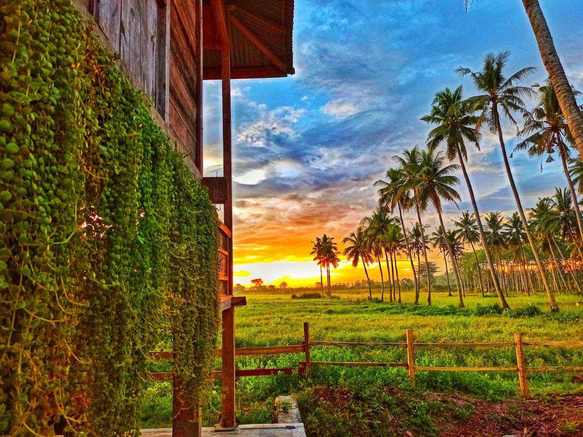 Sunset Homestay By Harry & Mimin Telaga Dış mekan fotoğraf
