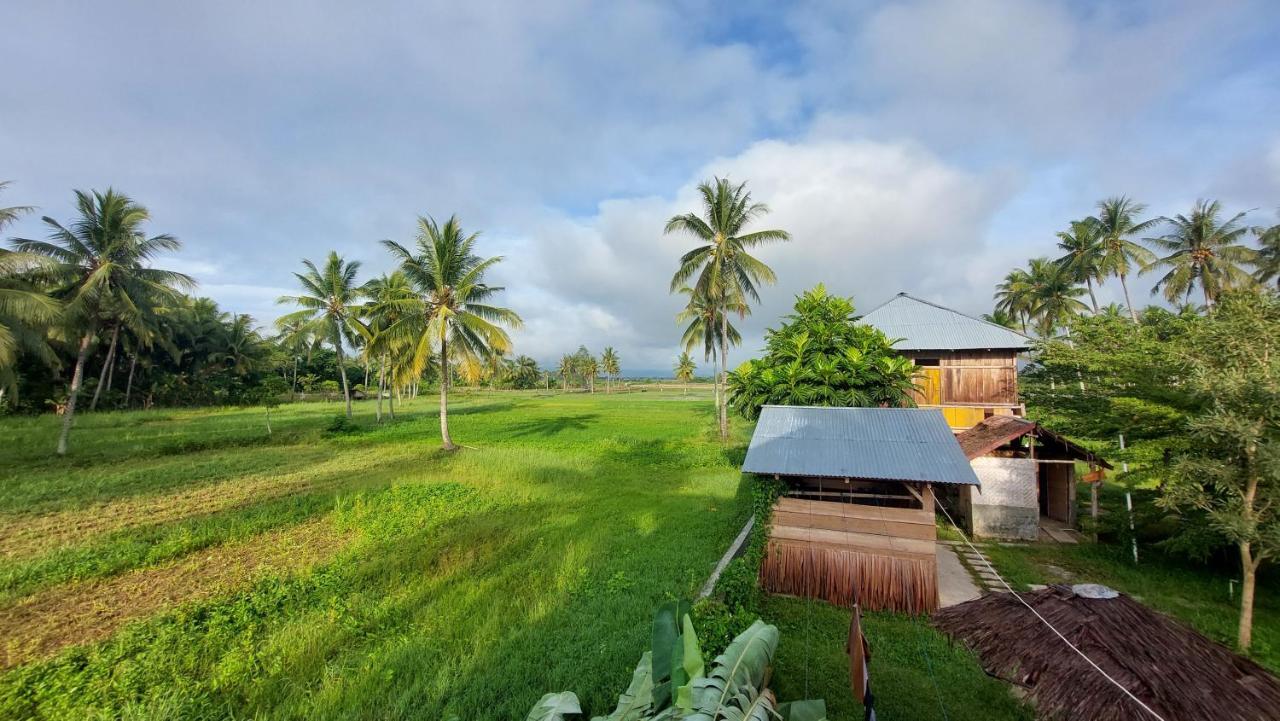 Sunset Homestay By Harry & Mimin Telaga Dış mekan fotoğraf