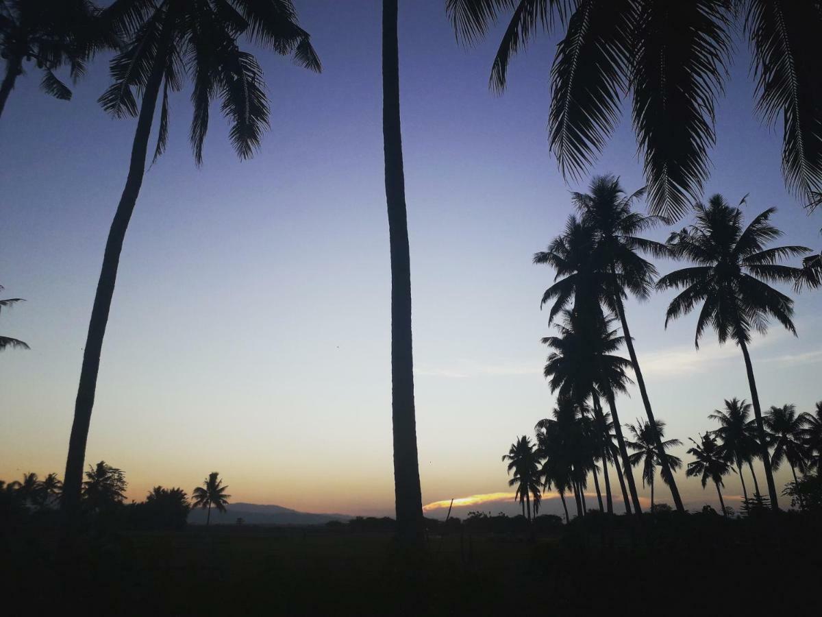 Sunset Homestay By Harry & Mimin Telaga Dış mekan fotoğraf